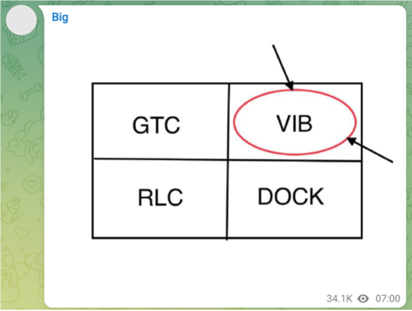 Text from discord pump and dump group with a graphic showing that VIB is the token being pumped